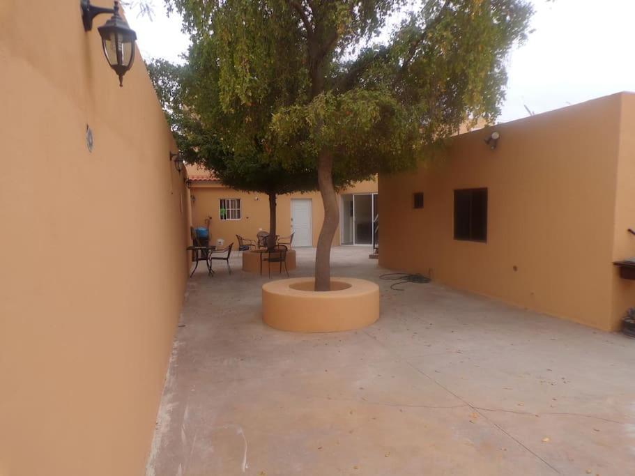 Apartamento 12 Con Dos Camas , A 200 Mts Del Vado Del Rio , Cerca Del Centro De Gobierno , Internet De Alta Velocidad Hermosillo Ngoại thất bức ảnh